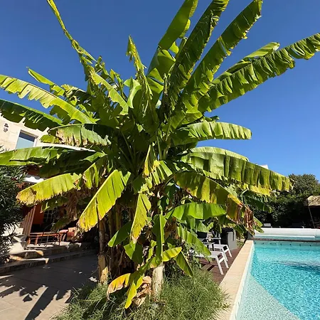 Le Patio34 Bed & Breakfast Laverune